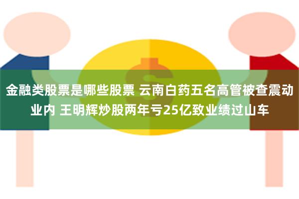 金融类股票是哪些股票 云南白药五名高管被查震动业内 王明辉炒股两年亏25亿致业绩过山车