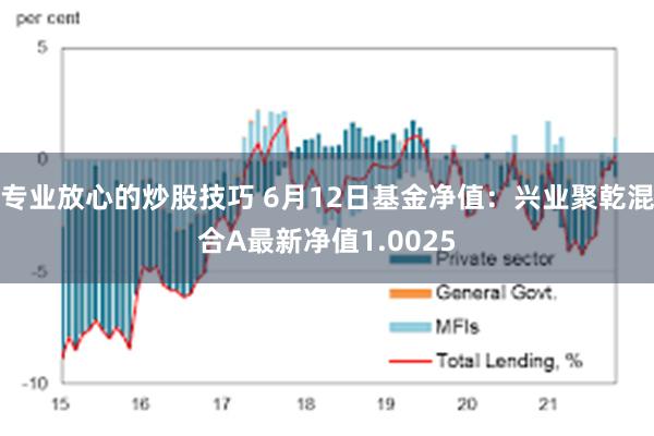 专业放心的炒股技巧 6月12日基金净值：兴业聚乾混合A最新净值1.0025