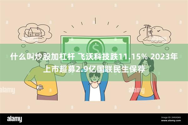 什么叫炒股加杠杆 飞沃科技跌11.15% 2023年上市超募2.9亿国联民生保荐