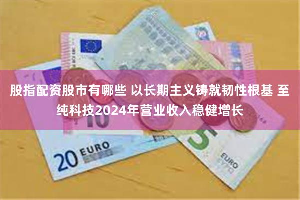 股指配资股市有哪些 以长期主义铸就韧性根基 至纯科技2024年营业收入稳健增长