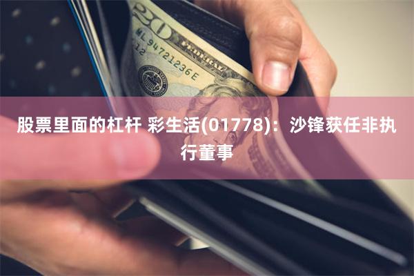 股票里面的杠杆 彩生活(01778)：沙锋获任非执行董事