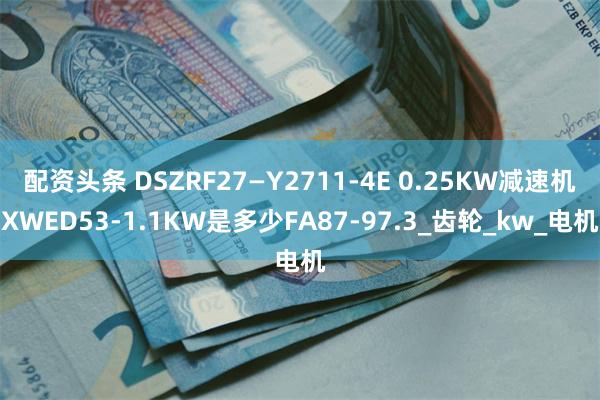 配资头条 DSZRF27—Y2711-4E 0.25KW减速机XWED53-1.1KW是多少FA87-97.3_齿轮_kw_电机