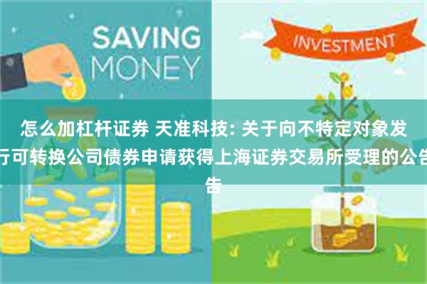 怎么加杠杆证券 天准科技: 关于向不特定对象发行可转换公司债券申请获得上海证券交易所受理的公告
