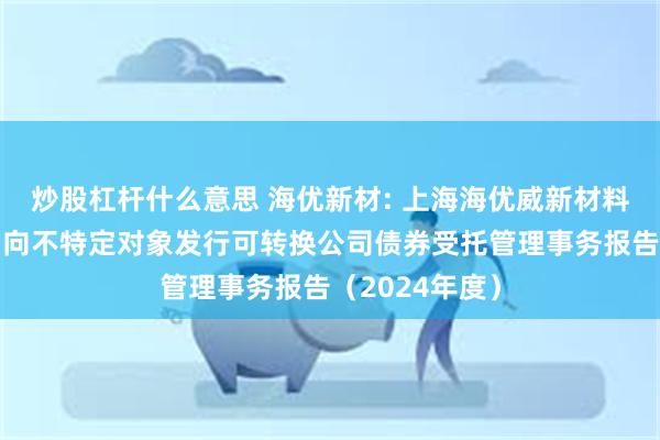 炒股杠杆什么意思 海优新材: 上海海优威新材料股份有限公司向不特定对象发行可转换公司债券受托管理事务报告(2024年度)