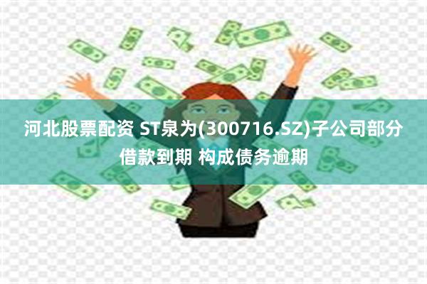 河北股票配资 ST泉为(300716.SZ)子公司部分借款到期 构成债务逾期