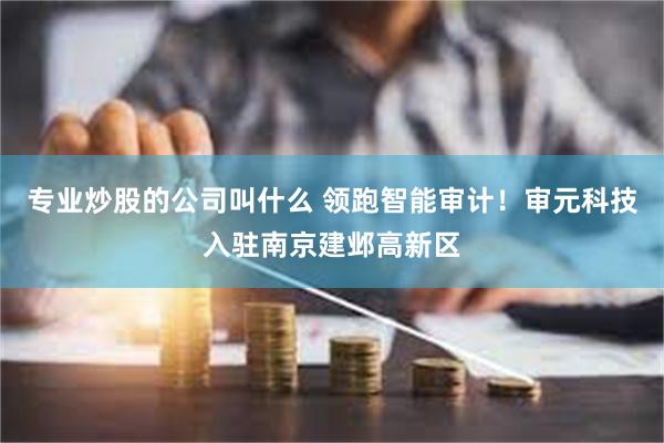 专业炒股的公司叫什么 领跑智能审计！审元科技入驻南京建邺高新区